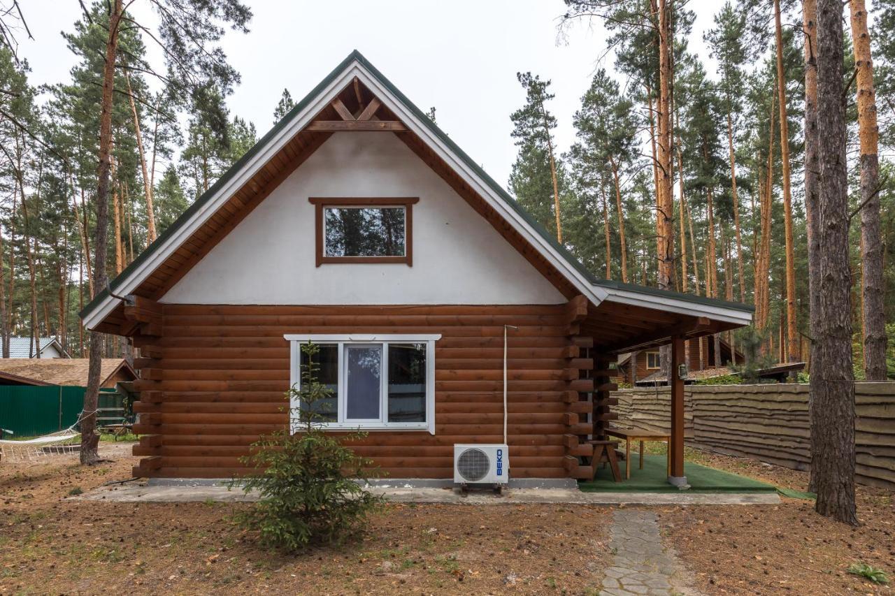 Vila Ekodom Voropayev Exteriér fotografie